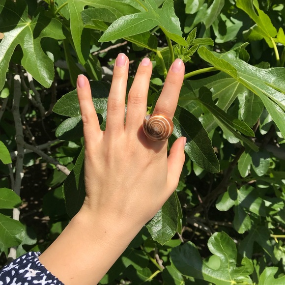 Natural seashell ring 🌊 - Picture 2 of 4